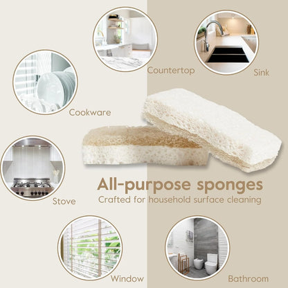 Grove Co. Coconut Scrubber Sponges, 6 Count, Dual Sided, Non-Scratch